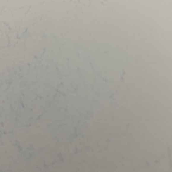 Size 7 leather converse only worn once still in box - Picture 1 of 1